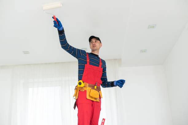 Best Fire-Damaged Drywall Repair  in Westerville, OH